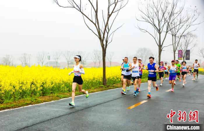 2024瑞昌第四届乡村花海半程马拉松开赛，选手踏